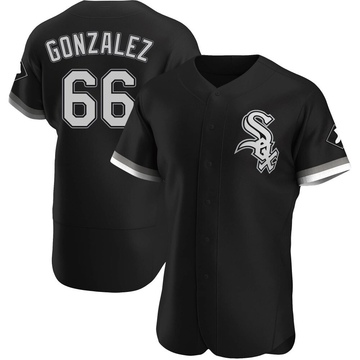 Authentic Wikelman Gonzalez Men's Chicago White Sox Black Alternate Jersey