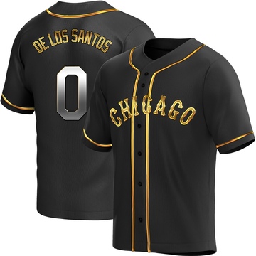 Replica Alexander De Los Santos Youth Chicago White Sox Black Golden Alternate Jersey