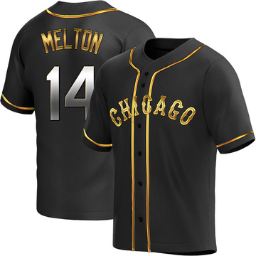 Replica Bill Melton Youth Chicago White Sox Black Golden Alternate Jersey
