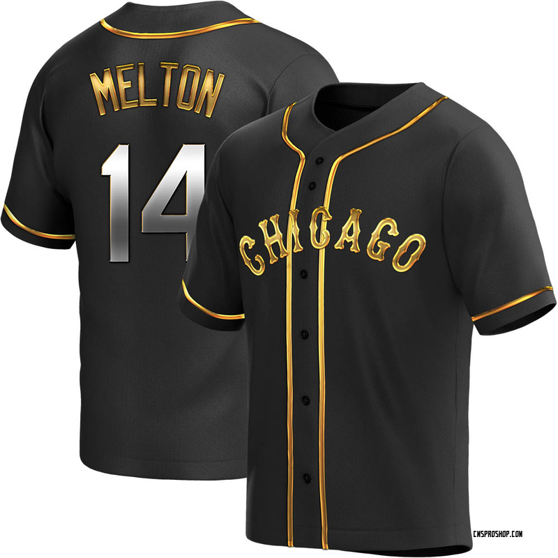 Replica Bill Melton Youth Chicago White Sox Black Golden Alternate Jersey