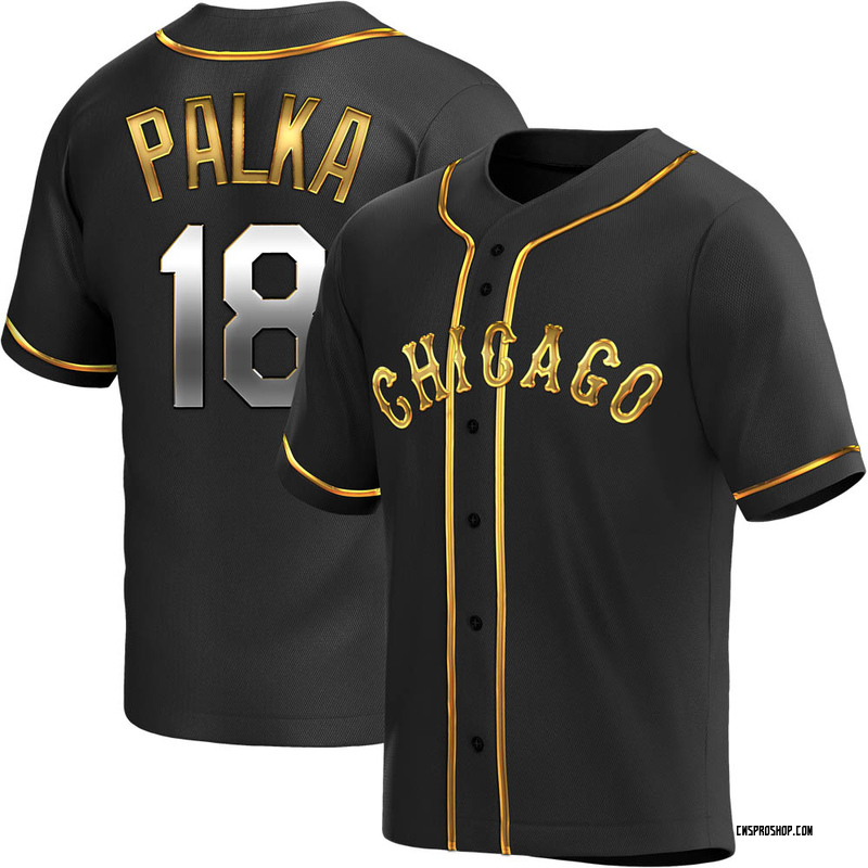 Replica Daniel Palka Youth Chicago White Sox Black Golden Alternate Jersey