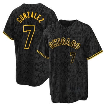 Replica Jacob Gonzalez Men's Chicago White Sox Black Snake Skin City Jersey