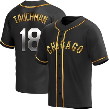 Replica Mike Tauchman Youth Chicago White Sox Black Golden Alternate Jersey