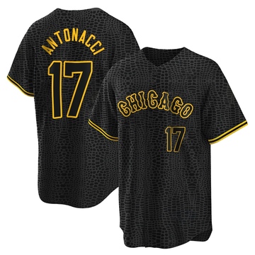 Replica Sam Antonacci Men's Chicago White Sox Black Snake Skin City Jersey