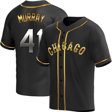 Replica Tanner Murray Youth Chicago White Sox Black Golden Alternate Jersey