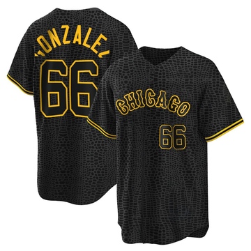 Replica Wikelman Gonzalez Men's Chicago White Sox Black Snake Skin City Jersey