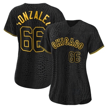 Replica Wikelman Gonzalez Women's Chicago White Sox Black Snake Skin City Jersey