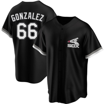 Replica Wikelman Gonzalez Youth Chicago White Sox Black Spring Training Jersey
