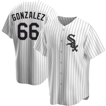 Replica Wikelman Gonzalez Youth Chicago White Sox White Home Jersey